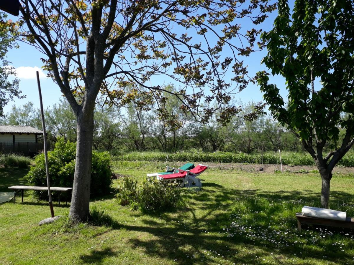 Laguna Di Venezia Isola Di S.Erasmo Kültér fotó